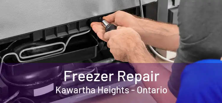 Freezer Repair Kawartha Heights - Ontario