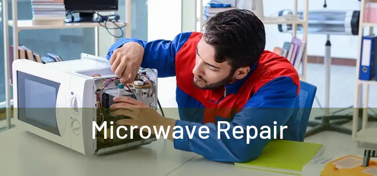 Microwave Repair 